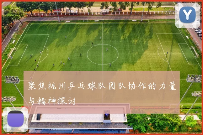 聚焦杭州乒乓球队团队协作的力量与精神探讨